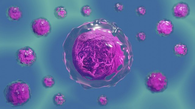 A mutated cell